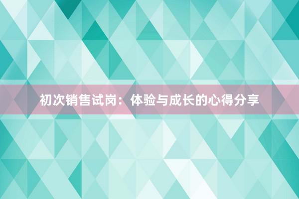 初次销售试岗：体验与成长的心得分享